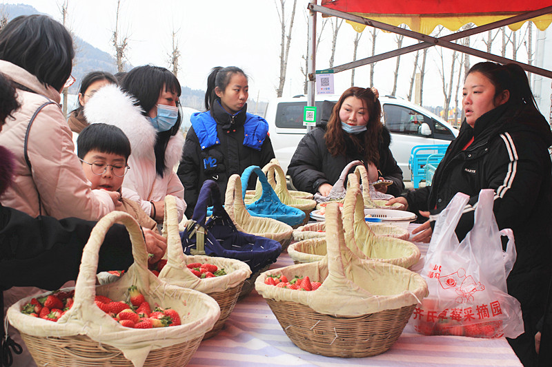 ��ݮ�h��c�´� | ���f�(zh��n)��ɽ�ڲ�ݮ��ժ��Ȥ���������w�(y��n)�e����ζ