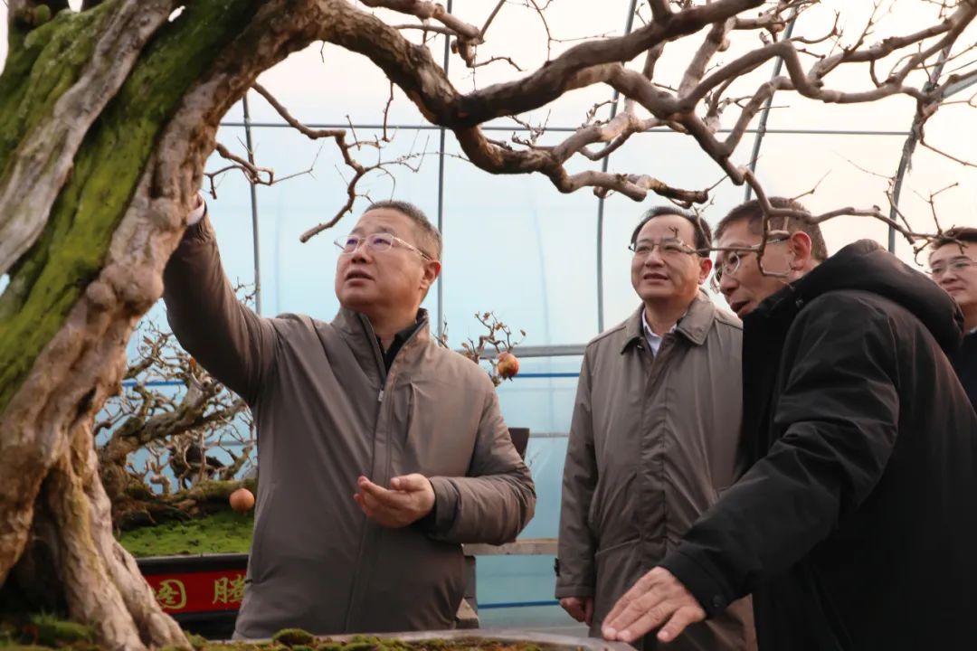 ���f��ί����ӛ������ί��ӛ�����ށ�F�ǅ^(q��)�{(di��o)��ʯ��a(ch��n)�I(y��)�l(f��)չ����